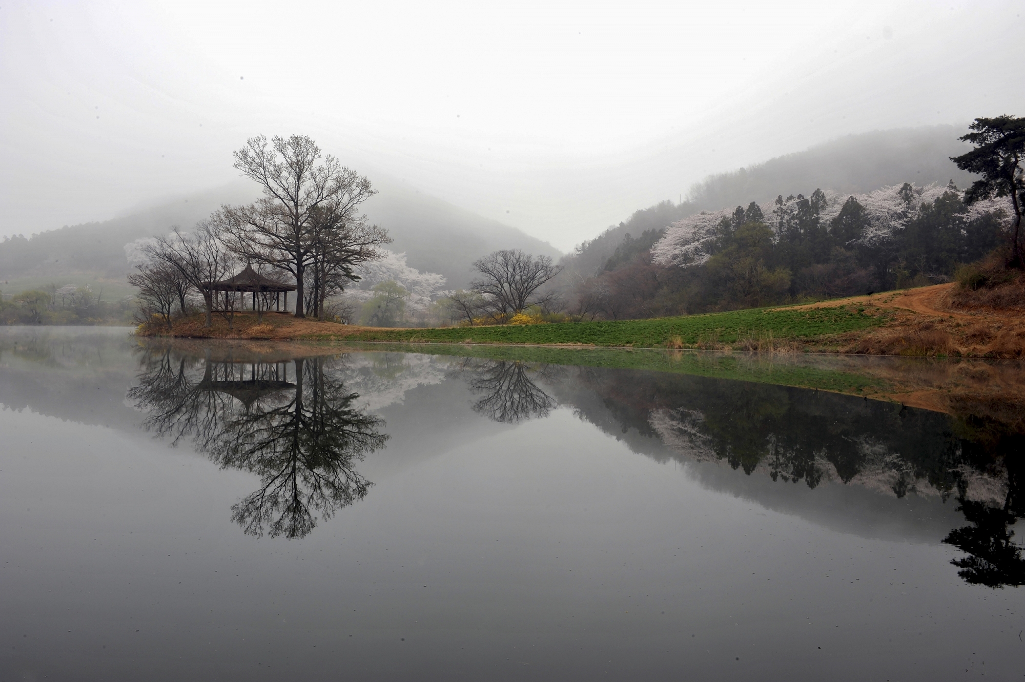 이정보-봄의아침